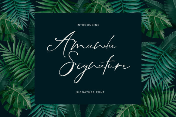 Amanda Signature: A Delicate Script Font for Campaign Headlines