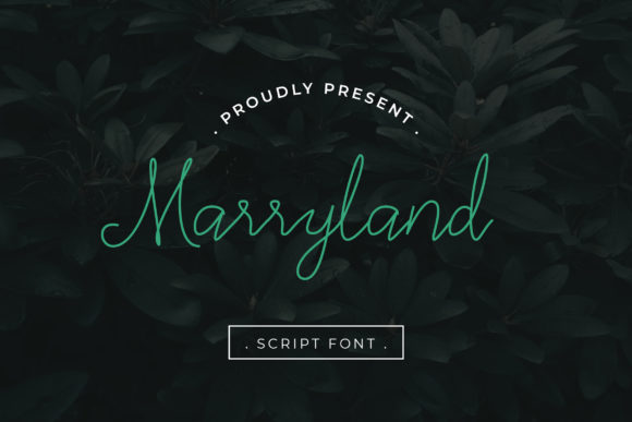 Marryland: A Modern Script Font for Handmade Charm