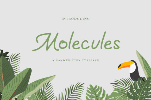 Molecules: A Refined Script Font for Thoughtful Branding
