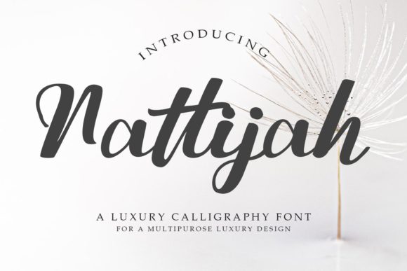 Nattijah: A Brushed Script Font That Elevates Real Small Business Branding