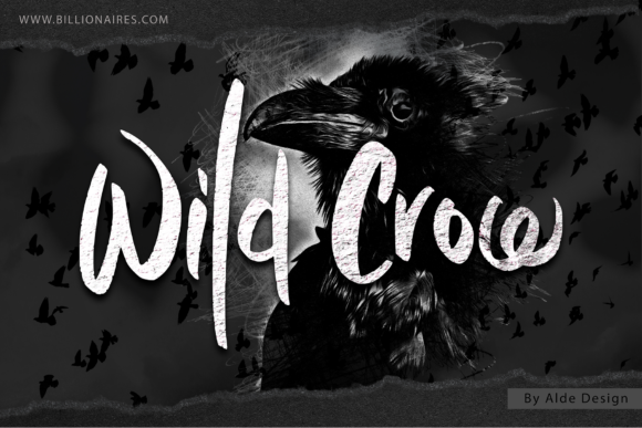 Wild Crow: A Handwritten Font for Digital Brand Personality